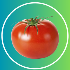 Tomato