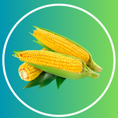 Corn