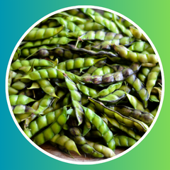 Pigeon Peas (Khandi Buddalu)