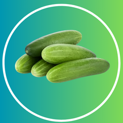 Cucumber