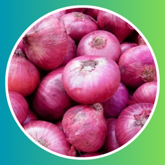 Maharashtra Onions