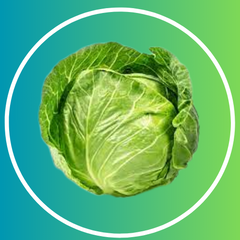 Cabbage