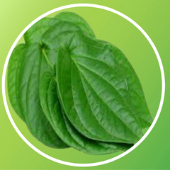 Betel Leaf (Thamalapaku)