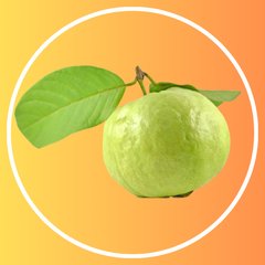 Guava (Seasonal - Winter)