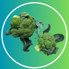 Broccoli